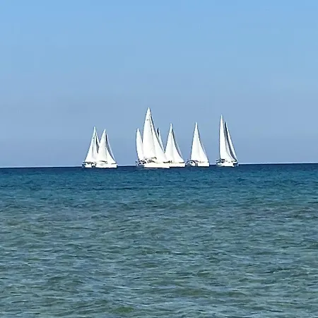 La Buganvillea *