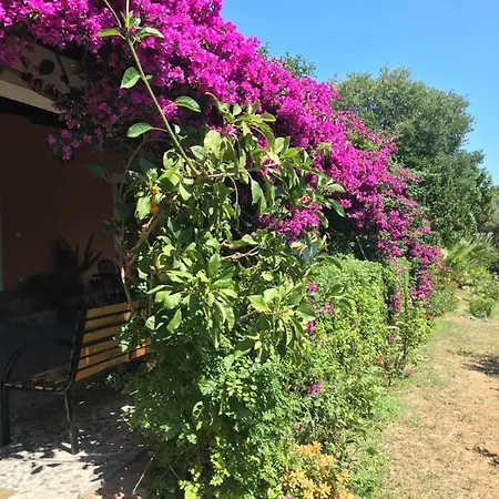La Buganvillea