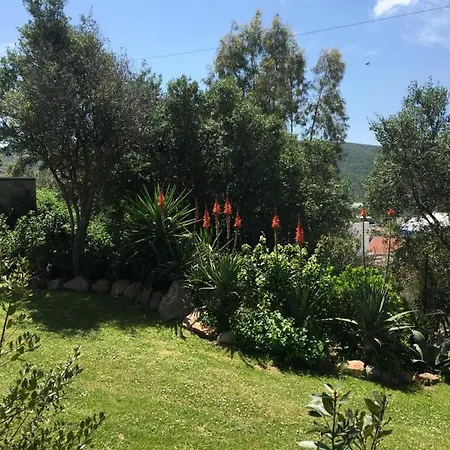La Buganvillea