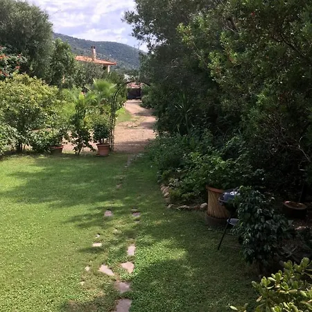 La Buganvillea *