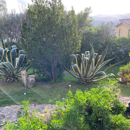 La Buganvillea *